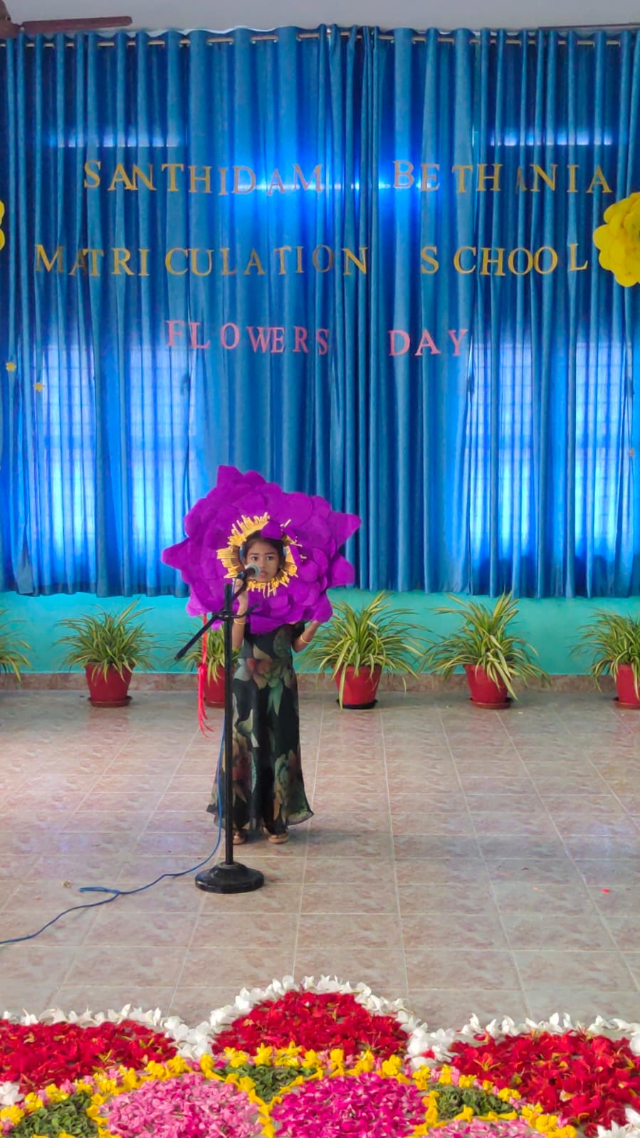 KG Program